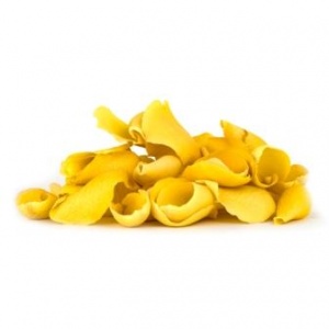 Lemon Blush Rose Petals